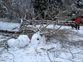 Una tormenta de nieve provoca apagones y causa caos en EE. UU.