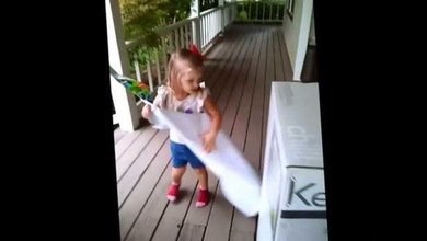 El mejor regalo de cumpleaños: una niña recibe una gran sorpresa