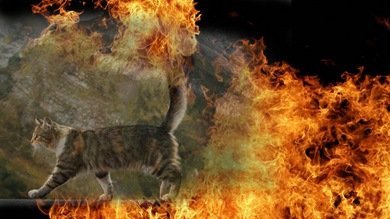 Un manuscrito medieval presenta "gatos-cohetes" como arma de artillería