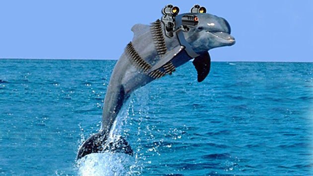 Delfines armados huyen de su base en el mar Negro persiguiendo a una hembra