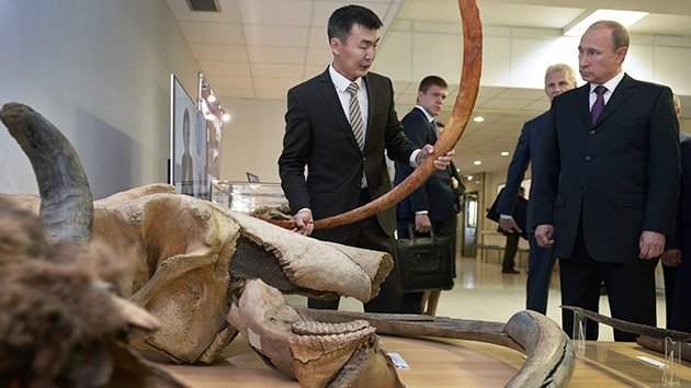 Putin propone a científicos de Siberia clonar una hembra de mamut