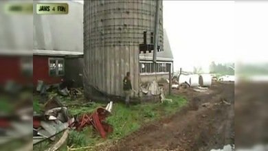 ¿Arrojo o tontería? Un hombre destruye por sí mismo una gigantesca torre