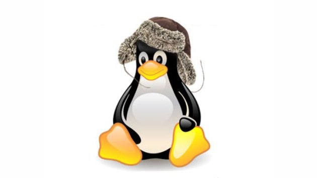 Rusia pasará a Linux para el año 2015