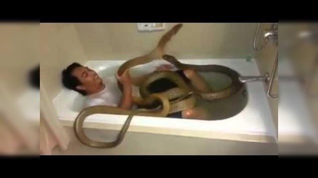 El baño menos ‘tentador’… en compañía de dos serpientes