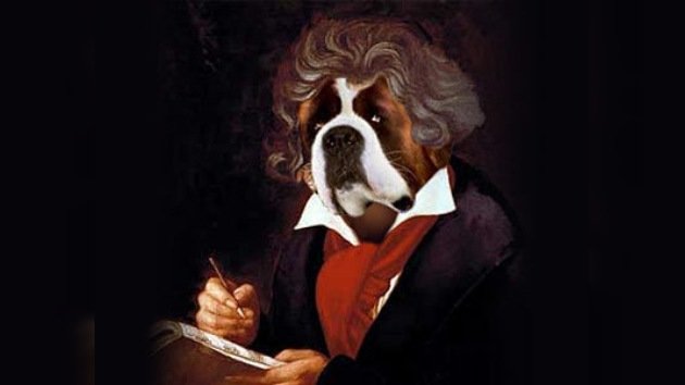 ¿Crees que Beethoven es un perro? ¡Bienvenido a la universidad!