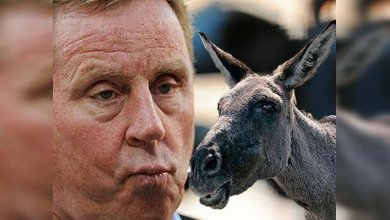 El técnico del Tottenham quiere adoptar al 'burro volador' ruso