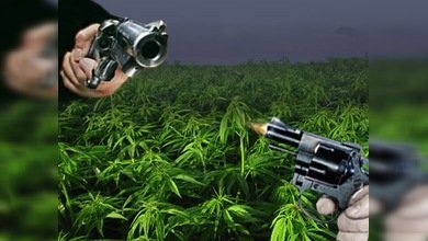 Bandas se enfrentan en Colima por controlar el trasiego de estupefacientes