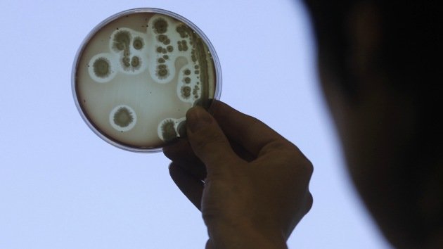 Científicos dan con la clave para vencer a las 'superbacterias' con antibióticos resistentes