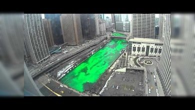 El río Chicago se tiñe de verde