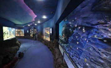 Tiburones y anacondas, ahora en el acuario más grande de Moscú