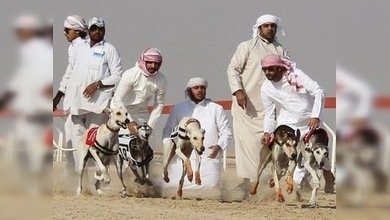 Nueva recompensa saudí por capturar a un soldado israelí: 1 millón de dólares 