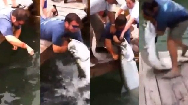 Video: Un enorme pez, a punto de tragarse a un turista