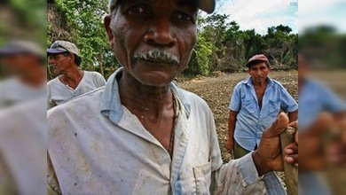 El proyecto Alcatraz: una alternativa para los delincuentes venezolanos