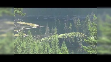 ¿Nuevas imágenes del yeti de turno?