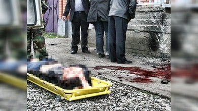 Las "viudas negras" atacan de nuevo, vea el vídeo