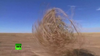 Plantas rodantes: Las bolas del oeste invaden el sur de Colorado