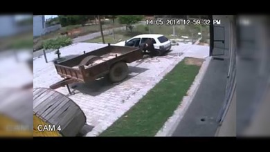 Secuestro 'exprés' de una vaca