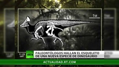 Provincia de Amur. Lejano oriente de Rusia (parte 2)