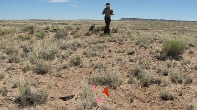 Hallan un poblado indígena de 1.300 años en el Parque Nacional de Arizona