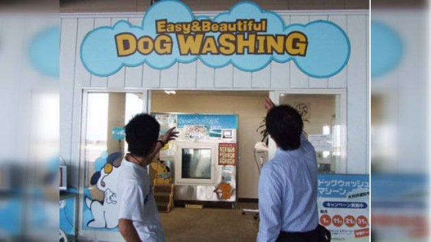 Una lavadora de animales domésticos