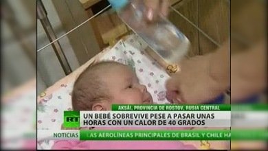 Un bebé abandonado bajo un calor sofocante logró sobrevivir de milagro