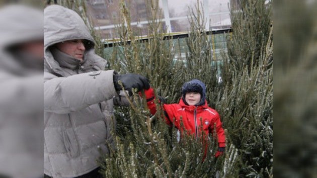 En Moscú se inauguraron los mercados de árboles navideños