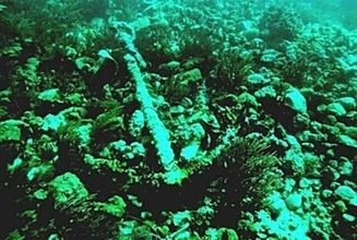 Encuentran valioso tesoro en aguas de República Dominicana