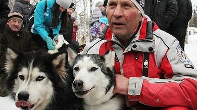 Una expedición de huskies siberianos abre una nueva ruta de carreras en el norte ruso
