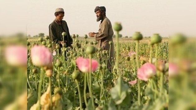 Rusia y EE. UU. lucharán contra las drogas en Afganistán