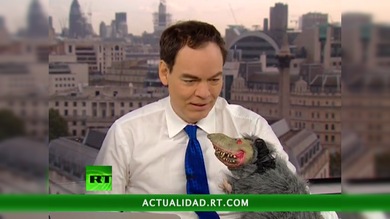 Keiser report en español: las confesiones de la rata bancaria (E349)