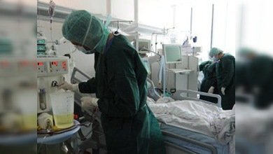 Ya son 20 los fallecidos y 2.000 los afectados por la bacteria 'E. coli'