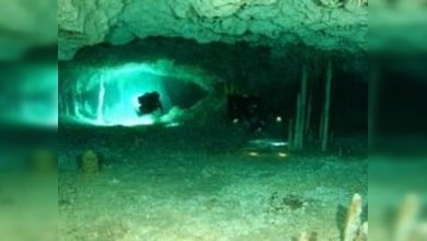 Hallan  un esqueleto de 10.000 años en Yucatán