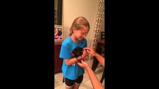 La emotiva reacción de una niña al recibir de regalo un cachorrito