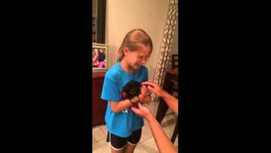 La emotiva reacción de una niña al recibir de regalo un cachorrito