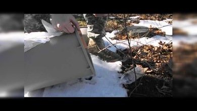 Soldado estadounidense y un ratón, víctimas de la ley de la naturaleza