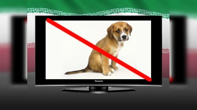 Irán prohibe los anuncios de mascotas