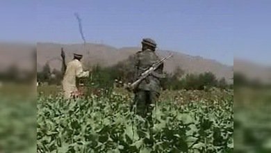 Rusia e Irán intensificarán la lucha conjunta contra el tráfico de drogas