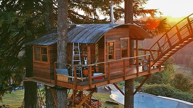 Fotos: Una casa-árbol para vivir como Tarzán