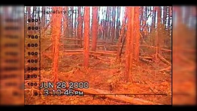 La ferocidad de un incendio forestal en primera persona