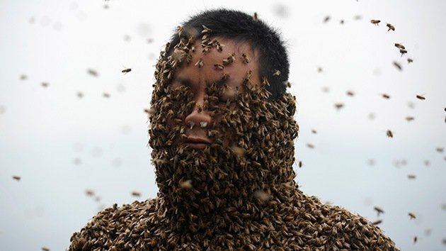 Fotos: Un apicultor chino promociona su miel cubriéndose todo el cuerpo de abejas