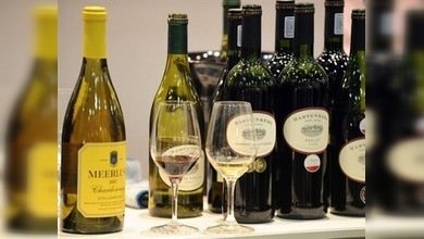 Arranca en Madrid el Concurso Internacional del Vino Bacchus