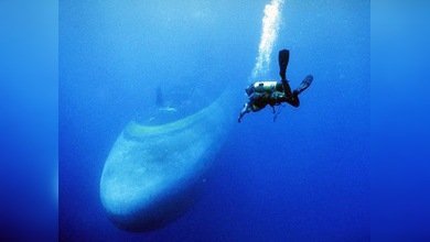 Hallan un submarino de guerra soviético desaparecido