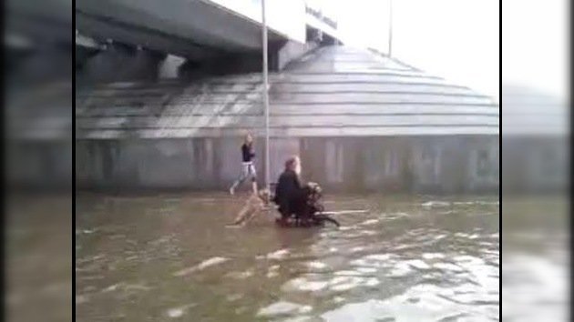 Perro empuja a hombre en silla de ruedas durante una inundación en Rusia