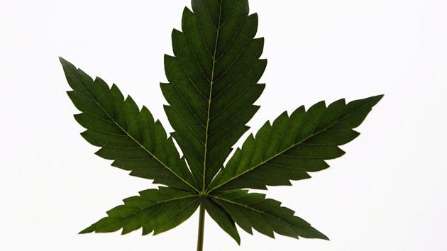 Legalización de la marihuana, apoyada por primera vez por la mayoría en EE.UU.
