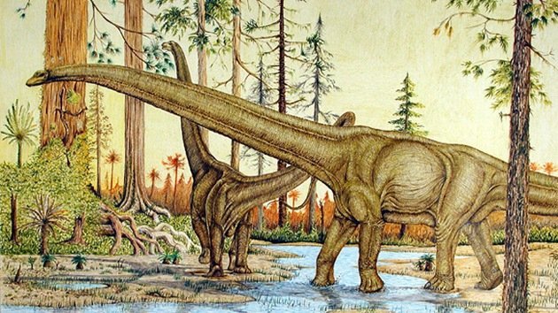Video: Un dinosaurio gigante 'da sus primeros pasos' en millones de años