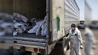 Llega a 332 el número de cadáveres hallados en 'narcofosas' en el norte de México