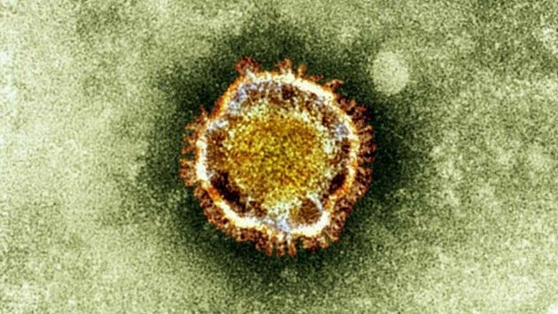 OMS: Dos nuevos virus respiratorios "podrían causar una epidemia global"