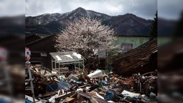 El crack de Lehman Brothers fue más devastador para Japón que el terremoto