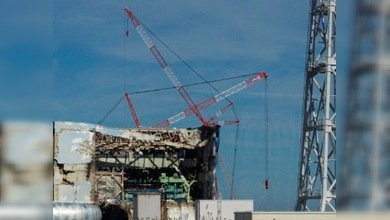 Once samuráis: varios japoneses se niegan a abandonar la zona de Fukushima