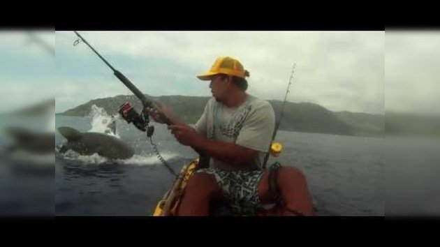 Un pescador pelea por una presa con un tiburón tigre